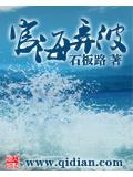 宦海弄波小说阅读
