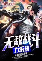 无敌战斗力系统小说阅读