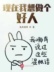 现在我想做个好人小说阅读