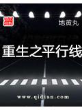 重生之平行小说阅读