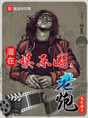 混在娱乐圈之老炮小说阅读