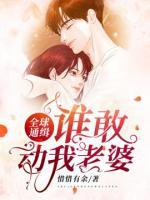 全球通缉：谁敢动我老婆小说阅读