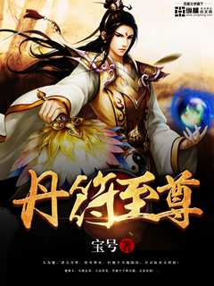 丹符至尊小说阅读