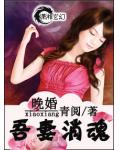晚婚——吾妻銷魂小说阅读
