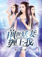 前世妖妻缠上我小说阅读