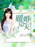 暖婚100天小说阅读