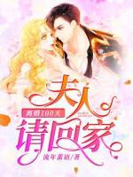 离婚100天：夫人请回家小说阅读